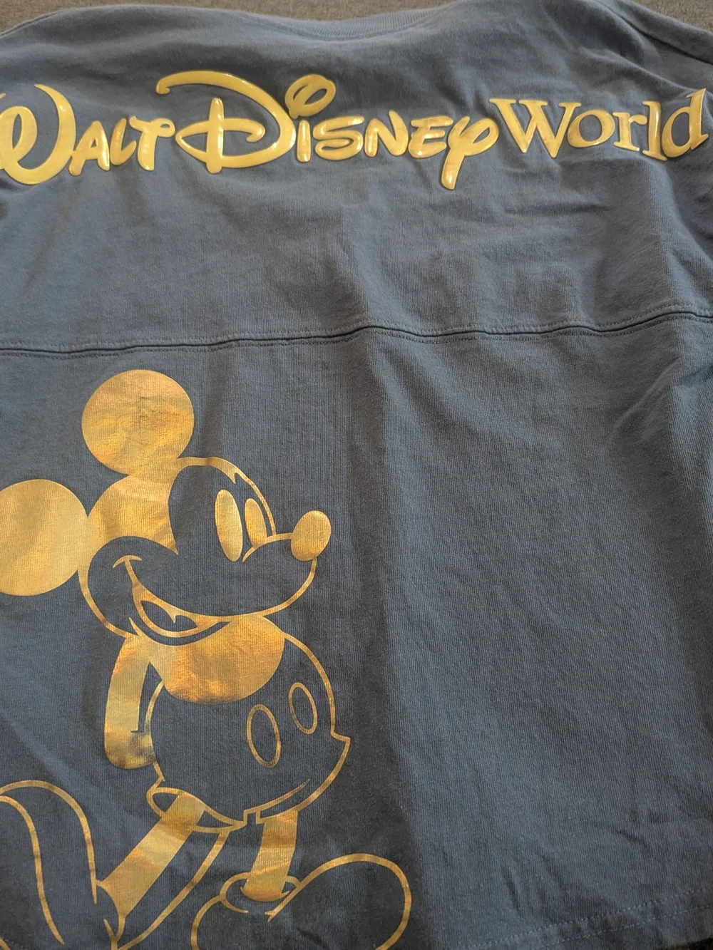 Walt Disney World 50th Anniversary Spirit Jersey